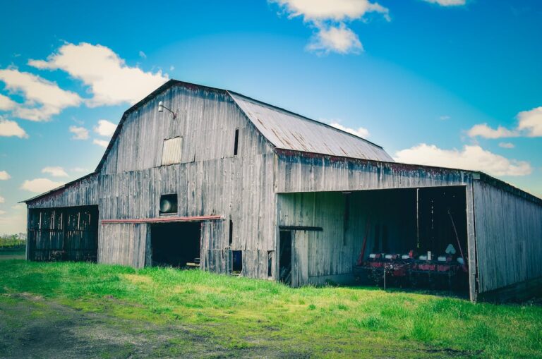 Were You Born in a Barn?