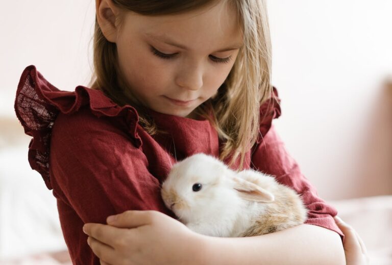 What Will You Feed Your Rabbit This Year?